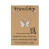 friendship-silver-white-butterfly